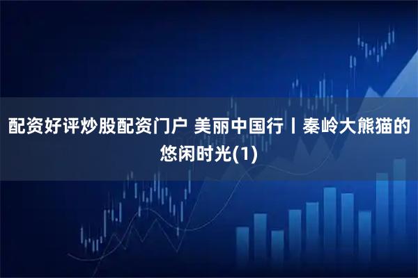 配资好评炒股配资门户 美丽中国行丨秦岭大熊猫的悠闲时光(1)